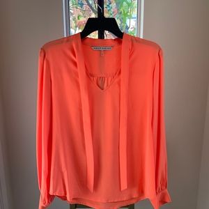 Luxurious Blouse (Trina Turk)